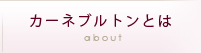 カーネブルトンとは